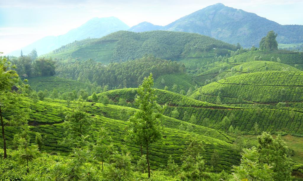 Hotel Elysium Garden à Munnar Extérieur photo